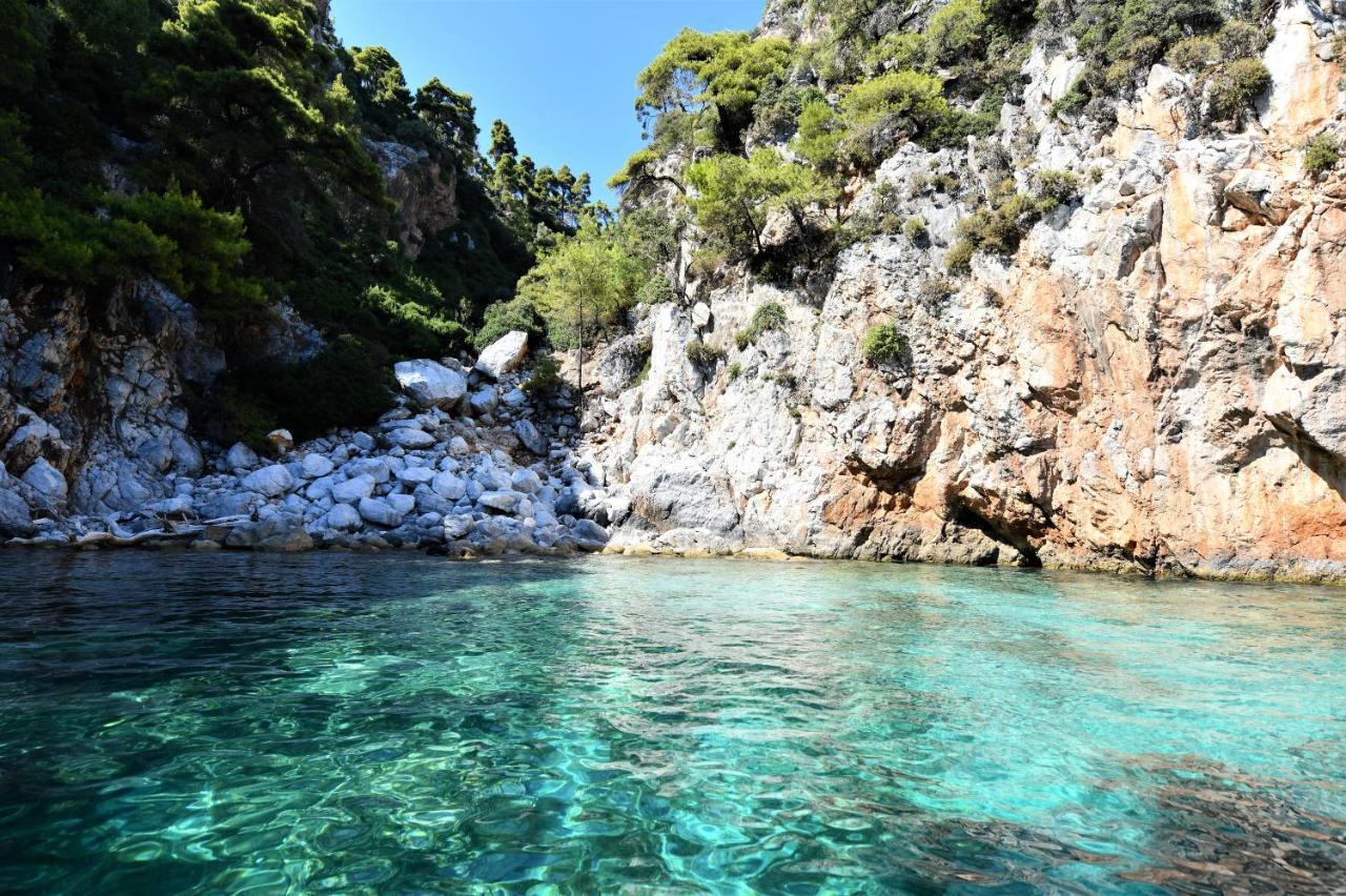 Secret Sporades Panoramic Residence Κλήμα Εξωτερικό φωτογραφία