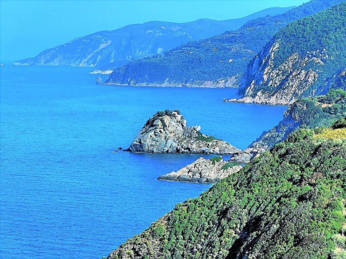 Secret Sporades Panoramic Residence Κλήμα Εξωτερικό φωτογραφία